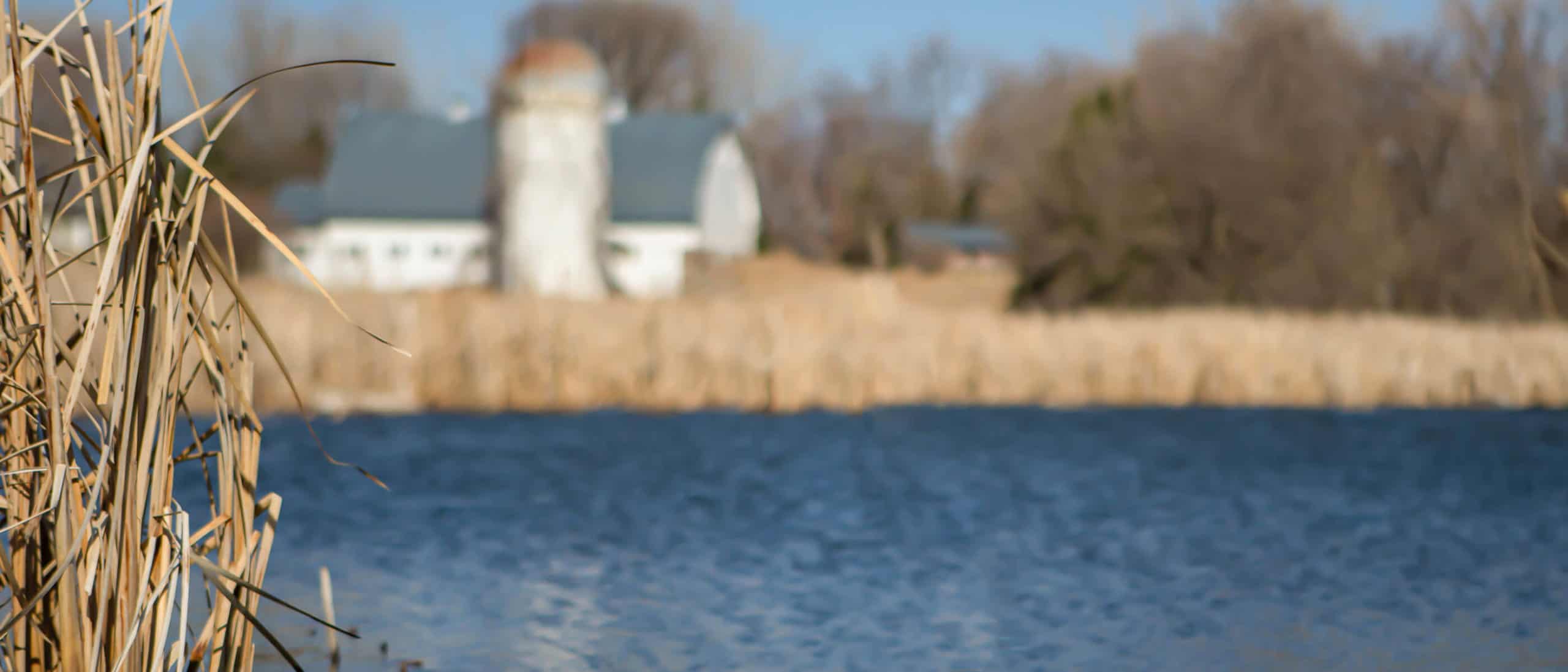 Body of water near a farm