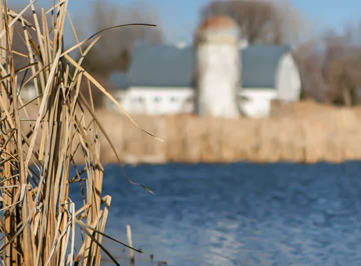 Body of water next to a farm